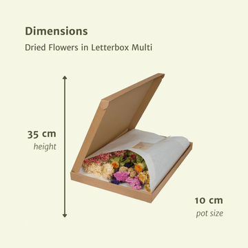 Trockenblumen im Briefkasten