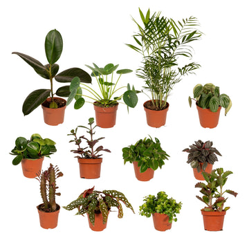 Außenseiterbox – 30 cm – Ø12 cm