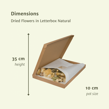 Trockenblumen im Briefkasten – Natur – 70 cm