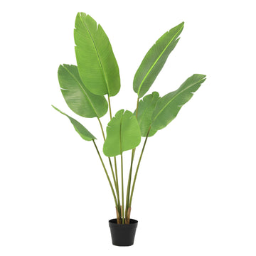 Strelitzia Nicolai – Kunstpflanze – 135 cm