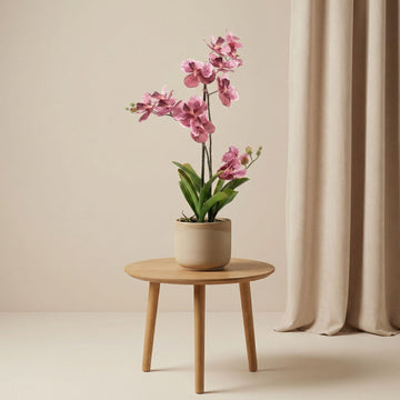 Orchidee Vanda 60 cm – Kunstpflanze – 60 cm