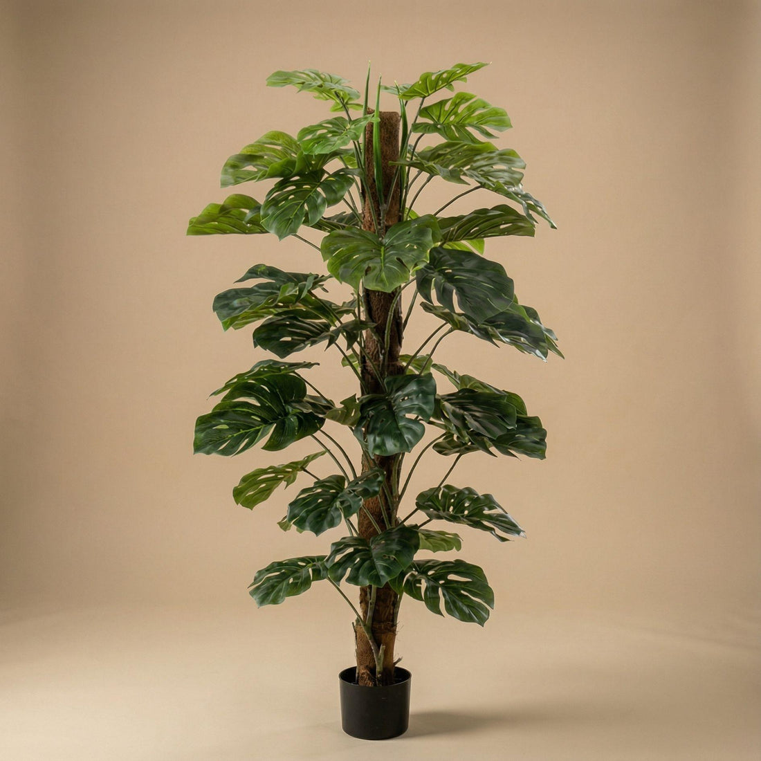 Monstera on pole 150 cm – Kunstpflanze – 150 cm