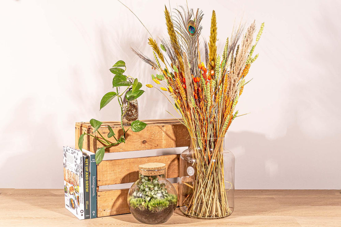 Trockenblumen im Briefkasten – 70 cm