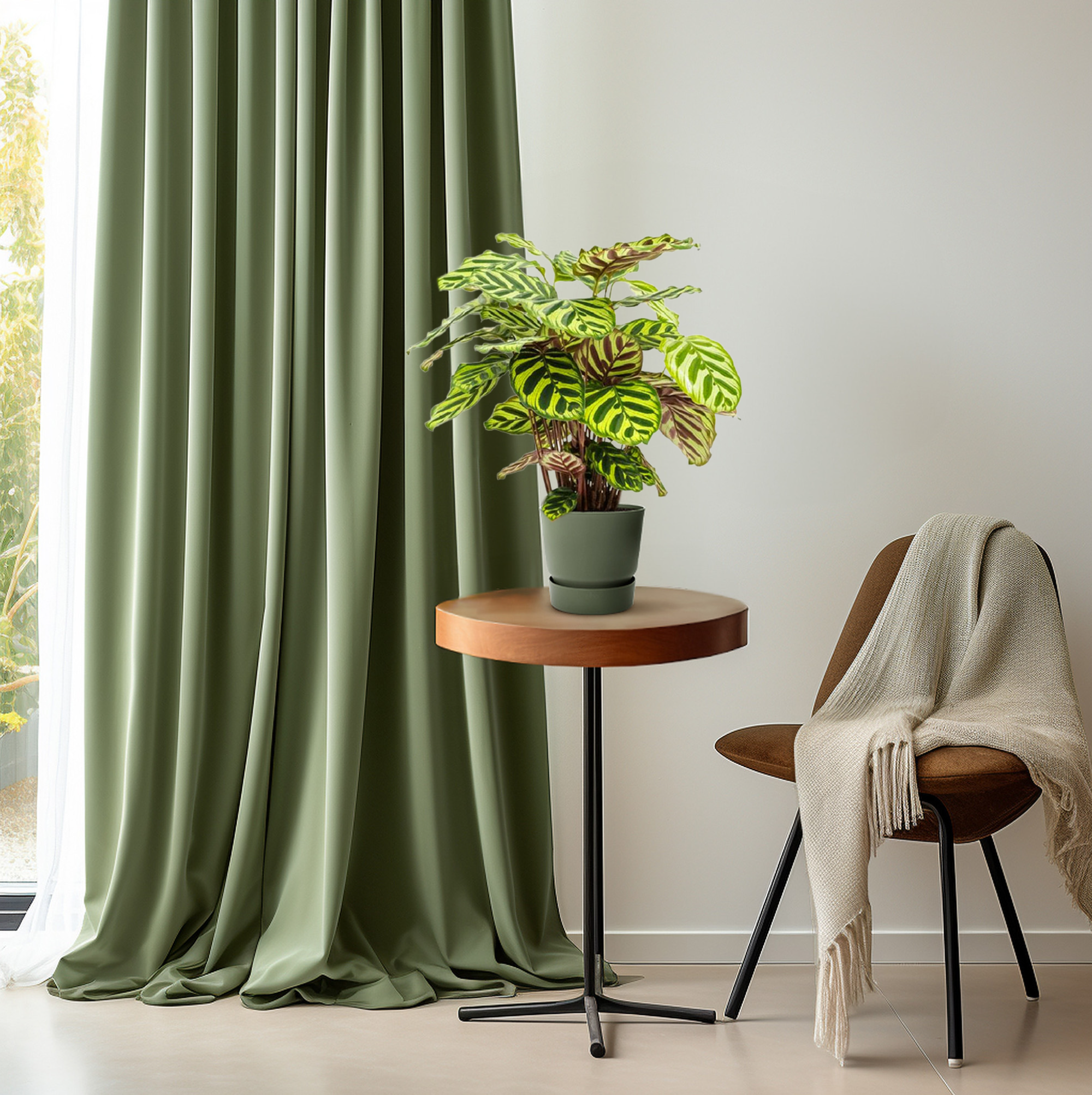 WÄHLE IMMER EINE PFLANZE, DIE DIR GEFÄLLT